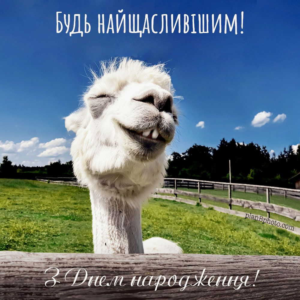 Прикольні привітання з Днем народження другу картинка 3