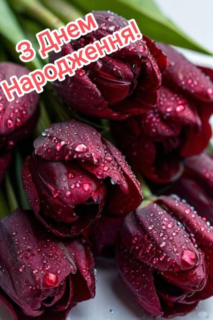 Зворушливі привітання з Днем народження для жінок картинка 4